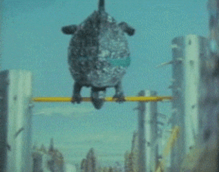 Mitch Mcconnell Turtle Playing GIF