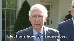 Mitch Mcconnell Turtle Says Elections Have Consequences GIF