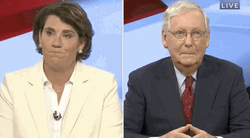 Mitch Mcconnell Turtle Television Interview GIF