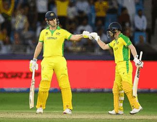 Mitchellmarsh Davidwarner GIF