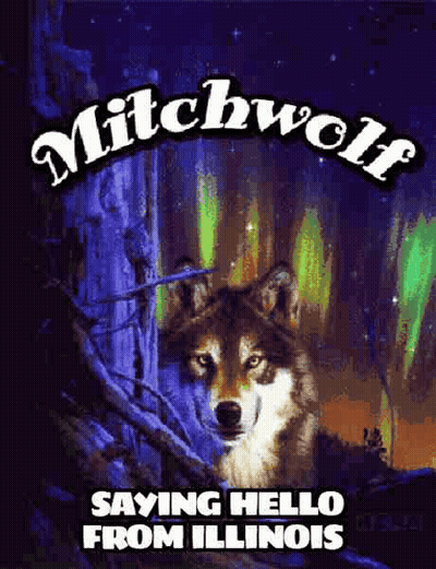 Mitchwolf Wolf Poster Saying Hello From Illinois GIF