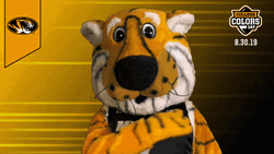 Mizzou Brushing Truman The Tiger Shirt Off GIF