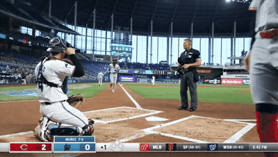 MLB Baseball Game Washington Nationals GIF