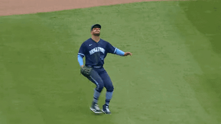 MLB Chicago Cubs Mike Tauchman Catching Baseball GIF