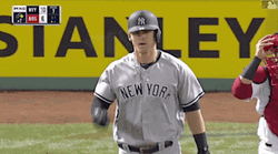 MLB NY Yankees Tyler Austin Starting Fight GIF