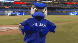 MLB Toronto Blue Jays Mascot GIF