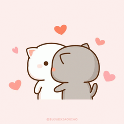 Mochi Cat GIF