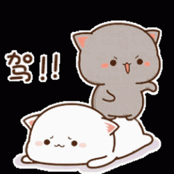 Mochi Cat Bouncing On Butt GIF