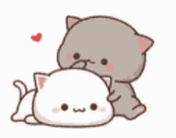 Mochi Cat Calm Couple Chill Headpat  GIF