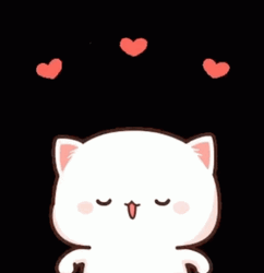 Mochi Cat Excited Hearts Above Head GIF