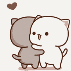Mochi Cat Excited Jumping Hug GIF