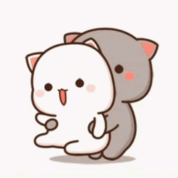 Mochi Cat Getting Spun Around GIF