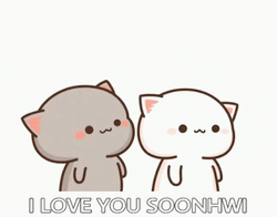 Mochi Cat I Love You Soonhwi GIF