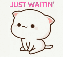 Mochi Cat Just Waitin' GIF