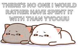 Mochi Cat No One I Would Rather Spent GIF