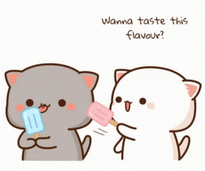Mochi Cat Sharing Ice Pop GIF