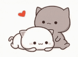 Mochi Cat Stickers Snuggling GIF