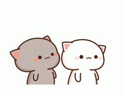 Mochi Cat Sweet Cheek Kiss GIF