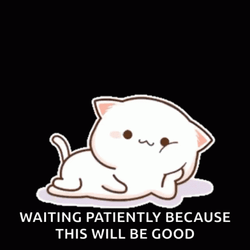 Mochi Cat Waiting Patiently GIF