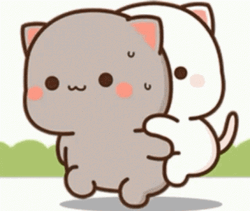 Mochi Cats Cute Piggyback GIF