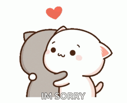 Mochi I Am Sorry Hug  GIF