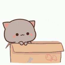 Mochi Peach And Goma Cat Rubbing Cheeks  GIF