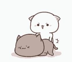 Mochi Peach And Goma Cats Nuzzling GIF