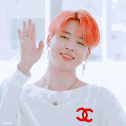 Mochi Saying Hi BTS Jimin GIF