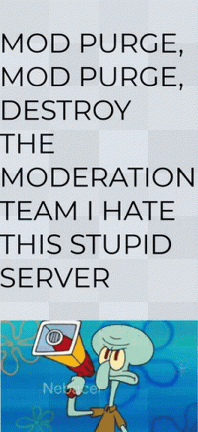 Mod Purge Destroy the Moderation Team I Hate This Stupid Server