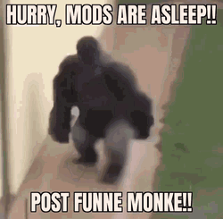 Mods Asleep Post Monkey