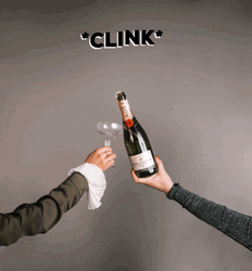 Moët Chandon Happy Birthday Champagne Clink GIF