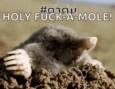 Mole In Dirt Saying Holy Fuck-A-Mole GIF