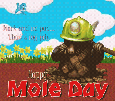 Mole in Hard Hat Holding Shovel Saying Work No Pay That's My Job