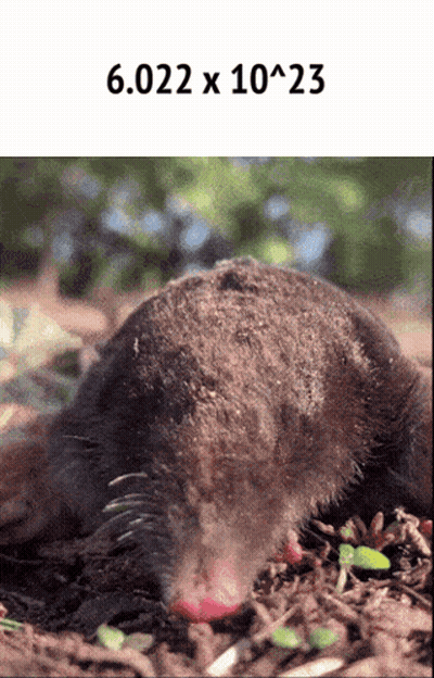 Mole With 6.022 X 10 X 23 GIF