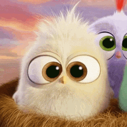 Mom Angry Bird Baby GIF