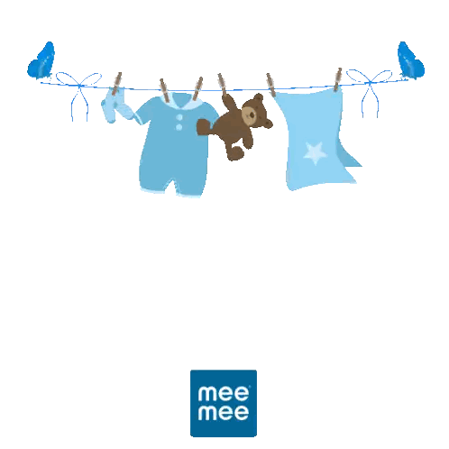 Momma's Boy Sign Clothes Line Sticker