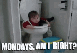 Monday Am I Right Meme GIF