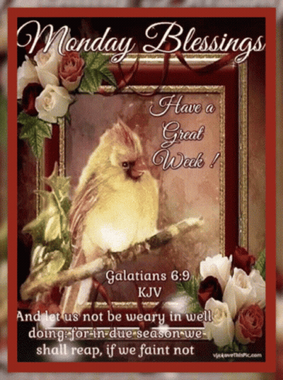 Monday Blessings Bird On Branch GIF