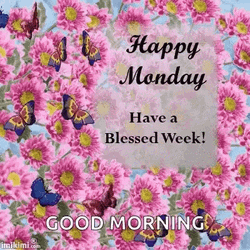 Monday Blessings Flowers And Butterflies GIF