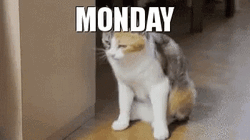 Monday Feeling Tired Meme GIF