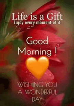 Monday Morning Blessings Good Monday Morning Blessings Meme GIF