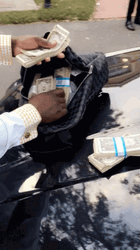 Money Falling Bag Of Cash GIF