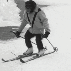 Money Know How To Ski Also GIF