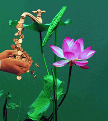 Money Rain Coin Flower GIF