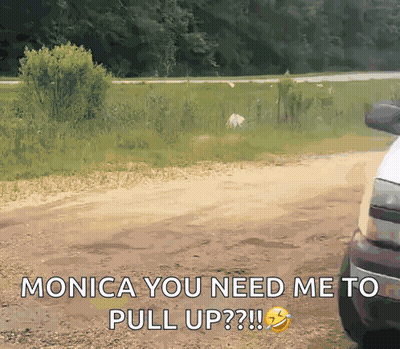 Monica You Need Me To Pull Up GIF