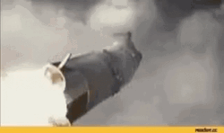 Monkex Crypto Rocket Launch GIF