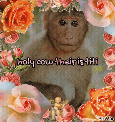 Monkey Among Flowers Holy Cow Their Is Titi GIF