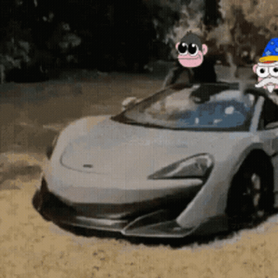 Monkey And Cat In Sports Car GIF