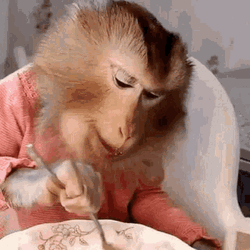 Monkey Appetizing Meal