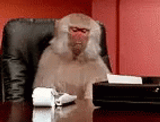 Monkey As An Accountant Printing Receipt GIF